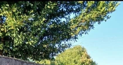 Rhythm of local life 2-bedroom apartment with AC in Livingstone