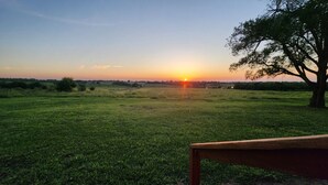 A grassy field with a bench in the foreground and a tree on the right. - Hammond Hideaway, Lovely cabin 12 miles north of Fort Scott. (Fort Scott)