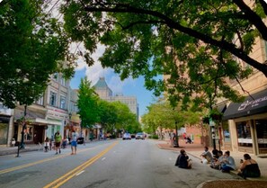 Miscellaneous - Stylish Bedroom Escape-Warm & Relaxing Ambiance in lovely Greensboro with AC (Greensboro)