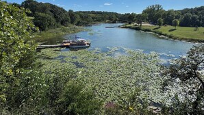 Un río con un muelle y un bote, rodeado de exuberante vegetación y árboles.