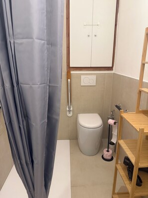 Shower, hair dryer, bidet, towels