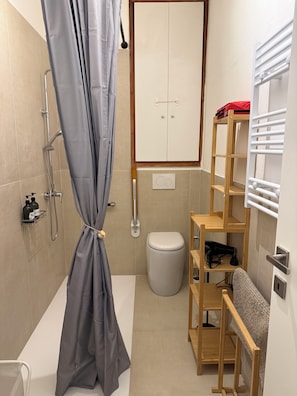 Shower, hair dryer, bidet, towels