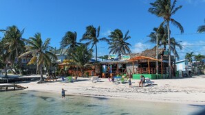 Eine Küstenlandschaft mit einem Gebäude mit Reetdach, Palmen und einem Sandstrand.