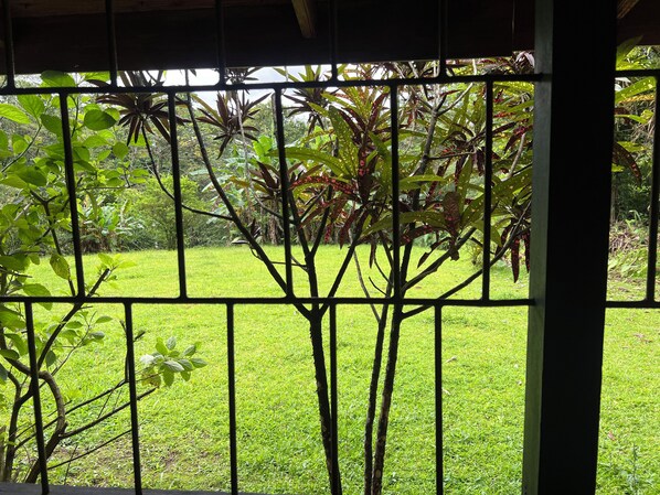 A view through a metal fence with a grassy area and various plants in the background.