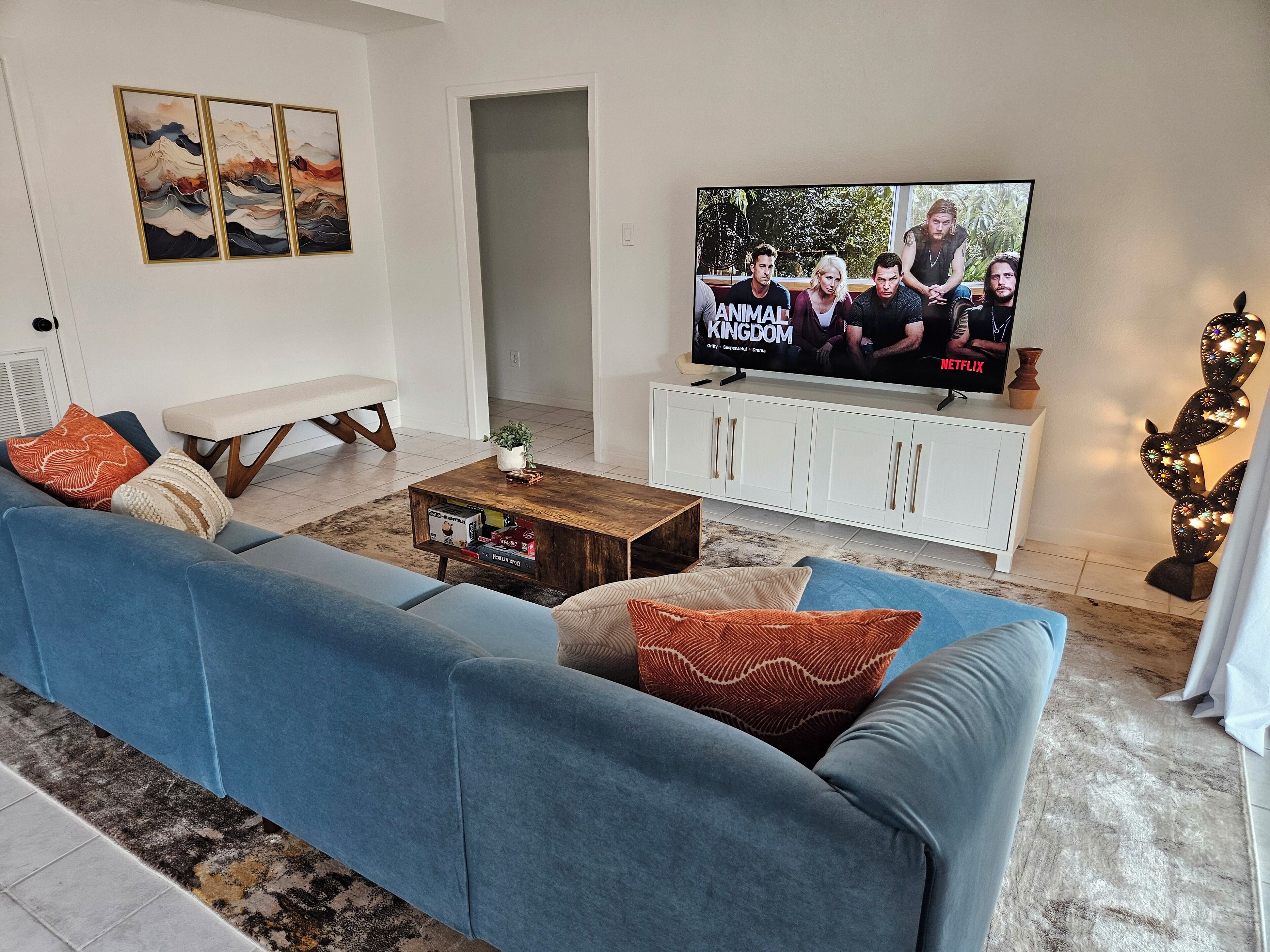 智能電視、書籍