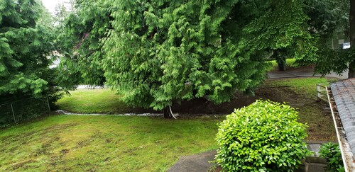 XL Tukwila Bedroom+Queen Bed+ 50"TV+Kitchenette+Coffee Bar "Private XL Bathroom"