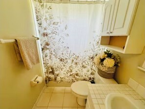 Shower, hair dryer, towels, soap
