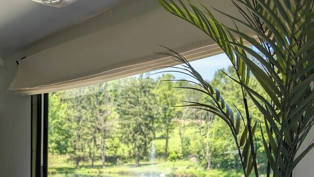 A view from a window with a plant, a tray with salt and pepper shakers, and a checkered mat on a wooden surface. - Waterfront RV Escape in Amish Country (Glenmont)