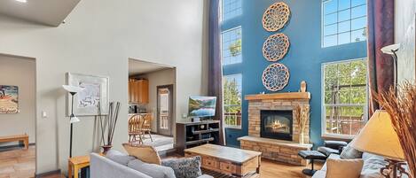 TV, fireplace, books