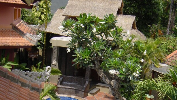 Una piscina rodeada de plantas tropicales y un edificio tradicional con techo de tejas.