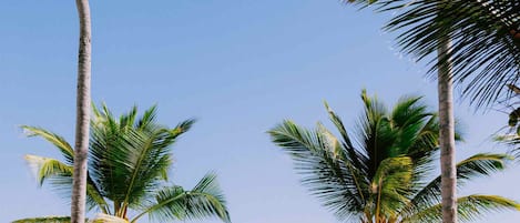 Apartment | 3 bedrooms, Internet