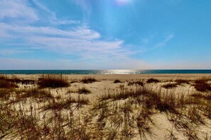 On the beach