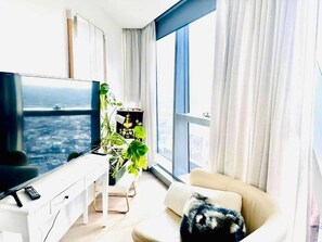 TV, fireplace, offices