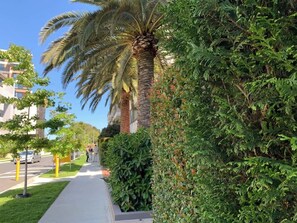 Property grounds - Royal Executive Living - Garden Executive Home (Caulfield North)