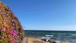 A rocky coastline with a clear sky and ocean waves. - Garden-View Apartment: Pool, Spa, Gym Access (Caulfield North)