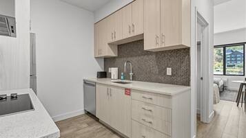 Fridge, oven, stovetop, dishwasher