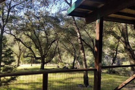 Property grounds. Cozy Bell Tent in Palomar Mountains