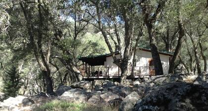 Cozy Bell Tent in Palomar Mountains