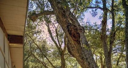 Harrison Serenity Ranch - Groups over 50