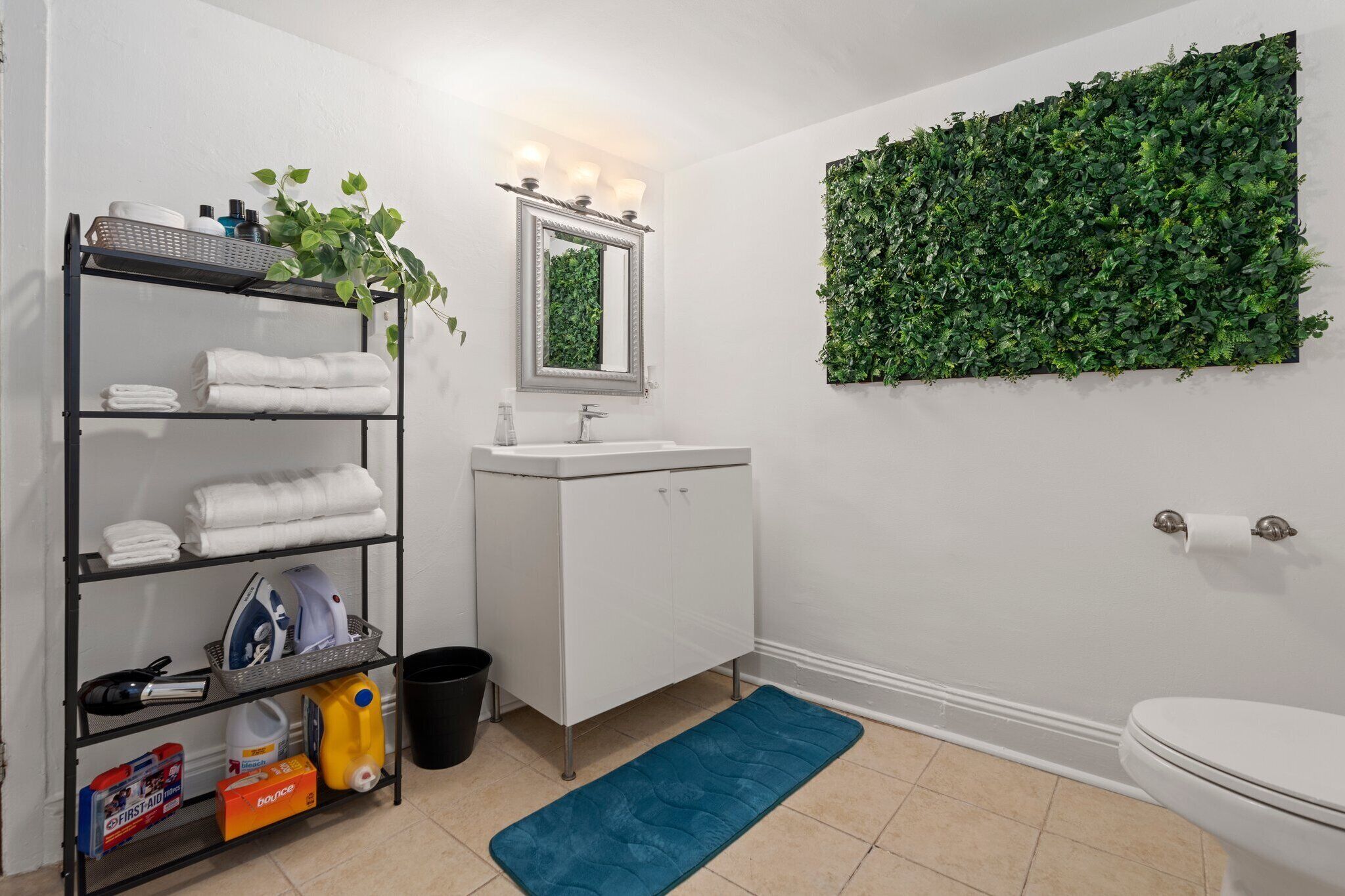 Hair dryer, towels, soap, toilet paper