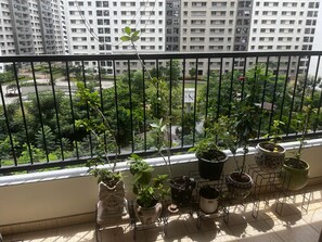 Property grounds - Fully furnished Apartment with Indian theme (San Francisco)