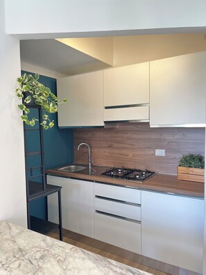 Microwave, stovetop, dishwasher
