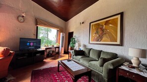 Smart TV, fireplace, table football, books