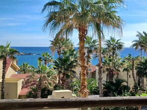 Property grounds - Modern Oceanside Condo (Cabo San Lucas)