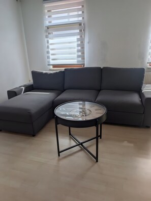 Fernseher