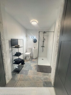 Dusche, Handtücher, Toilettenpapier