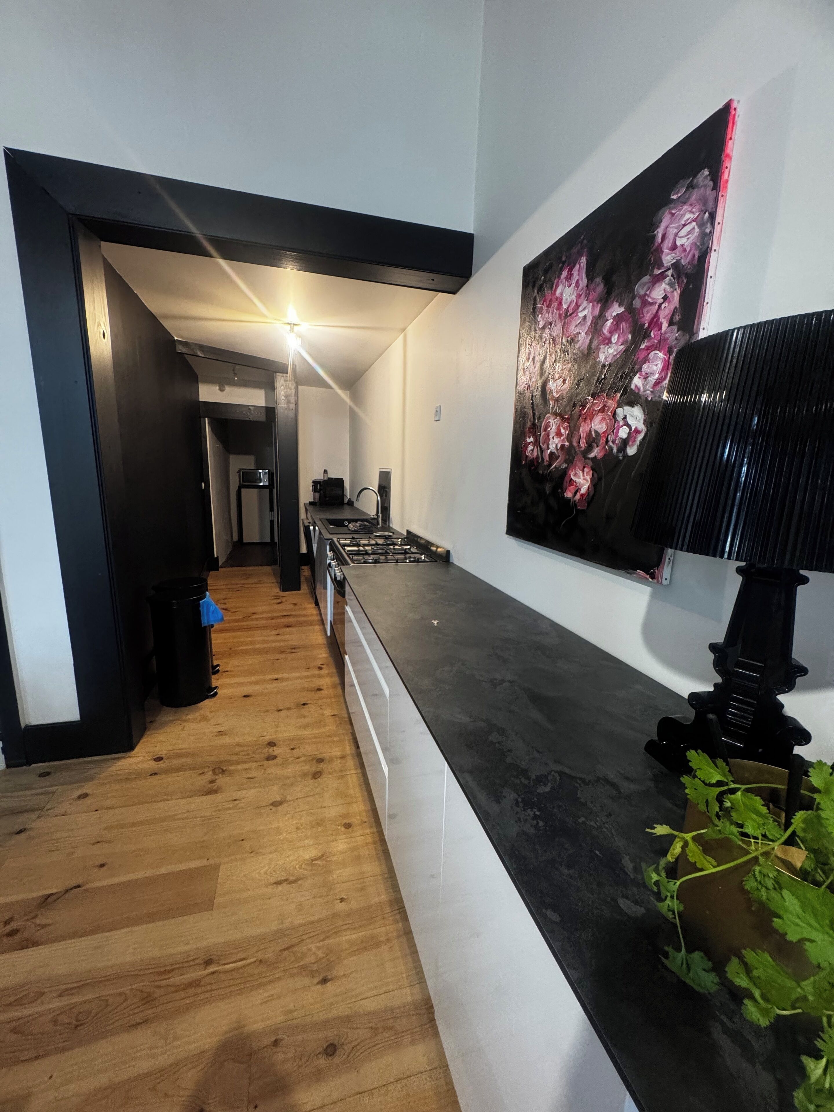 Mikrobølgeovn, ovn, kokeplater og oppvaskmaskin