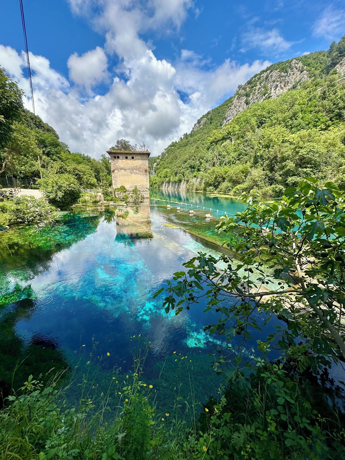 オーナーのプロフィール画像