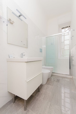 Shower, hair dryer, bidet, towels