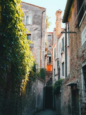 Miscellaneous