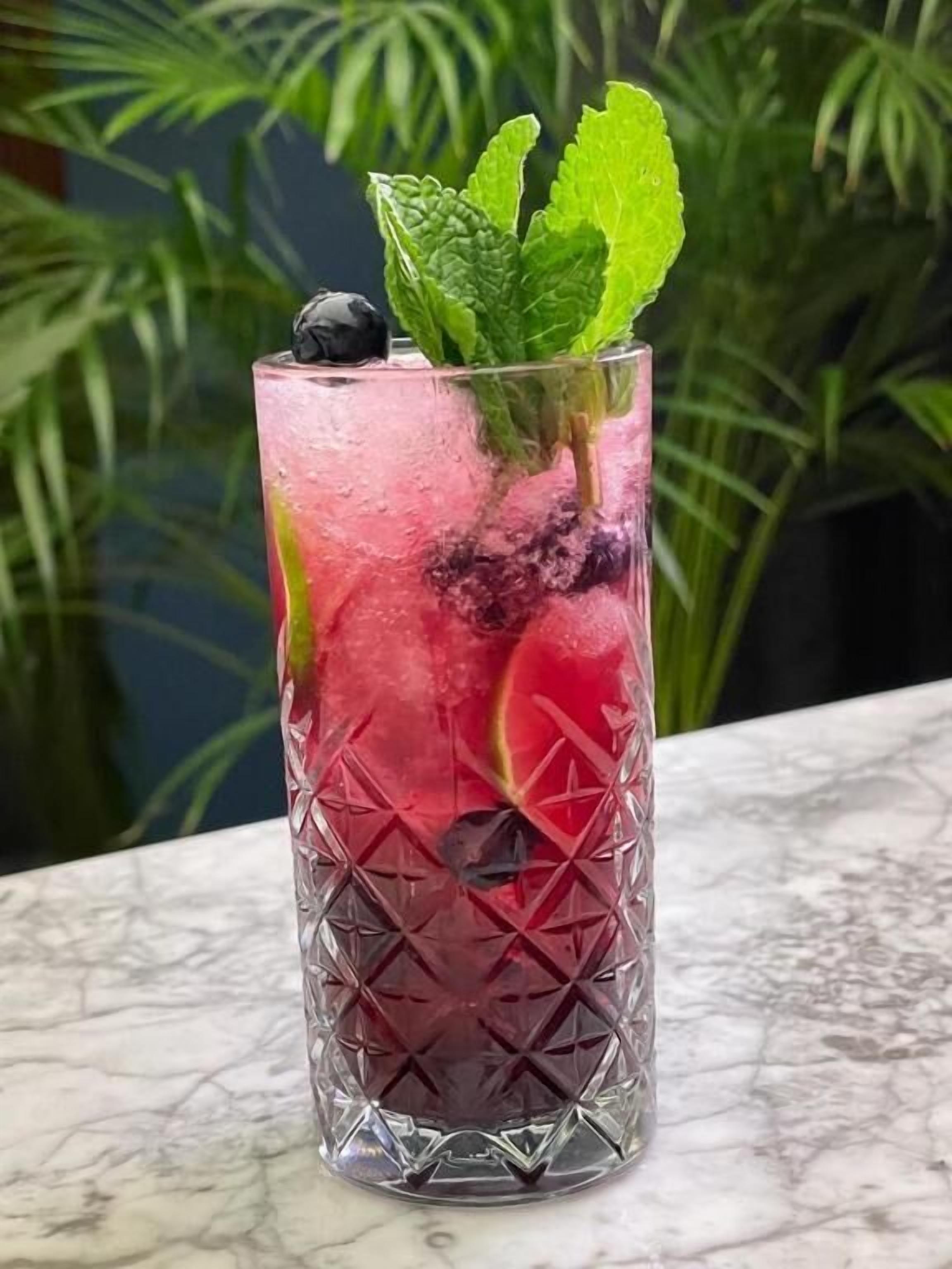 Un vaso alto con una bebida rosada, hojas de menta y una rodaja de fruta, sobre una superficie de mármol con una planta al fondo.
