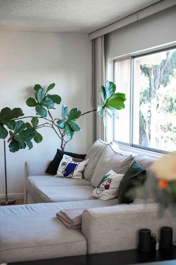 リビング エリア