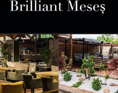 Exterior. Hotel Brilliant Meseș