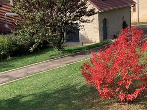 Jardines del alojamiento
