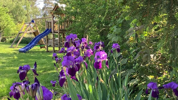 Un jardín con flores moradas, una estructura de juego de madera y un tobogán.