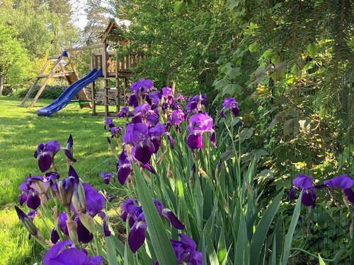 Charming independent cottage with garden and family activities
