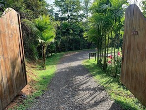 Un sendero de grava que atraviesa una puerta de madera rodeada de abundante follaje y palmeras.