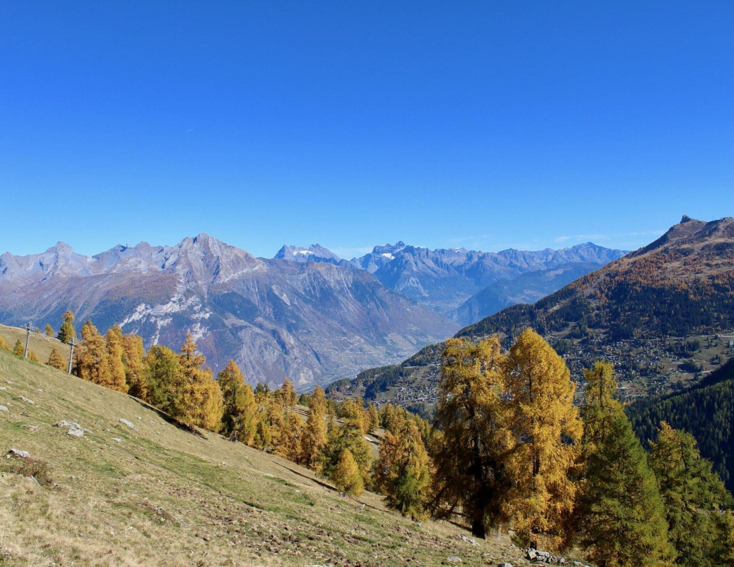 A mountainous landscape with autumn foliage and distant peaks.