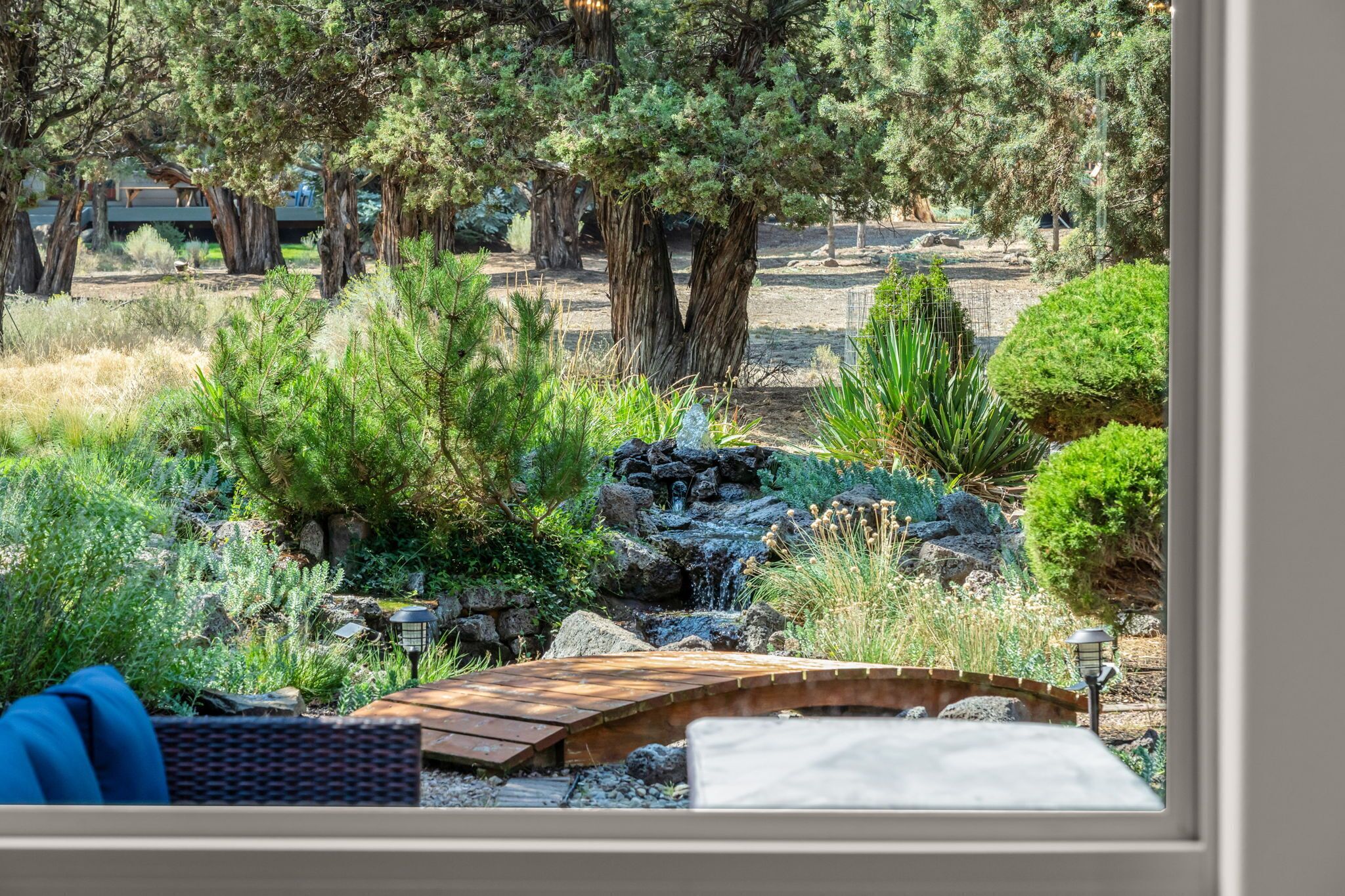 A garden with a wooden deck, a small waterfall, and various shrubs and trees.