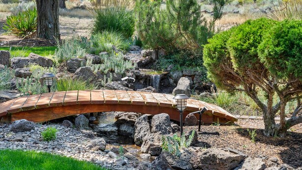 Un pont en bois rustique enjambe un petit ruisseau dans un jardin aménagé, agrémenté de rochers, de plantes et d’un arbre.