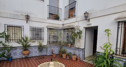 APARTMENT IN THE COURTYARD OF THE JUDERIA OF CORDOBA