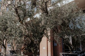 A tree in front of a building with a brick facade and a metal railing.