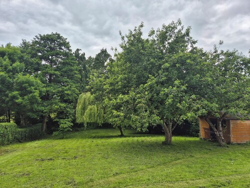 Tranquil 4-bedroom house in Carlow for a peaceful getaway