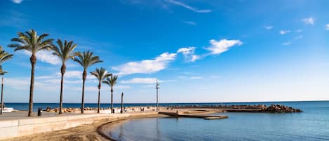 Apartamento | 1 dormitorio