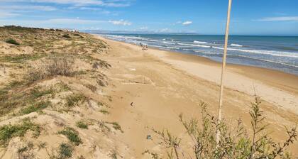 Casa Campomar in Guardamar