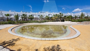 A swimming pool with a curved edge, surrounded by a sandy area and palm trees. - Casa de Lipa in Orihuela Costa (Orihuela)